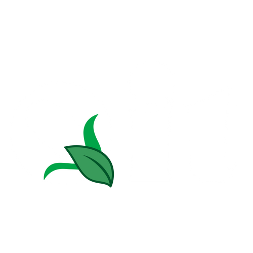 QIT